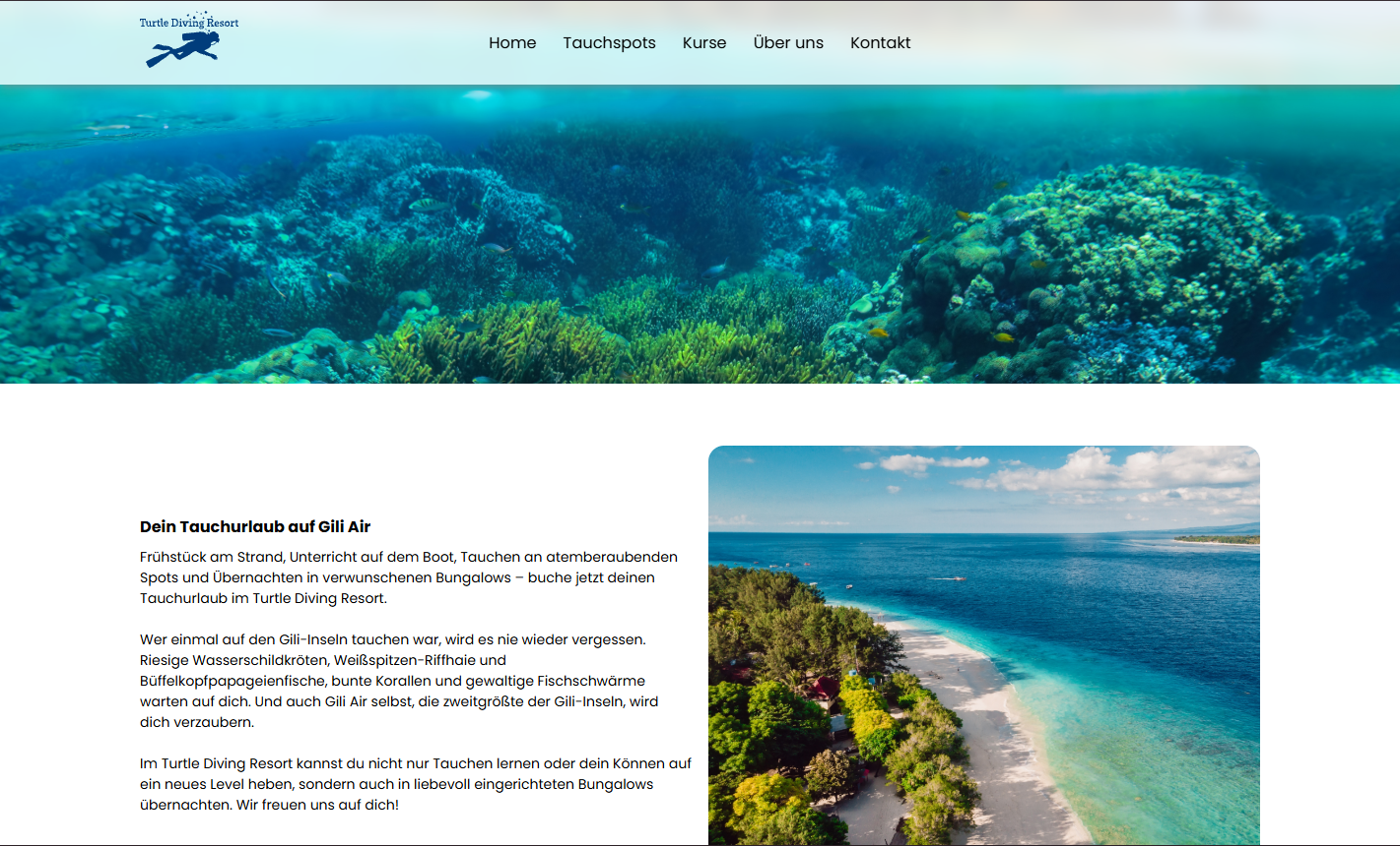 Abschlussprüfung Website Vorschau