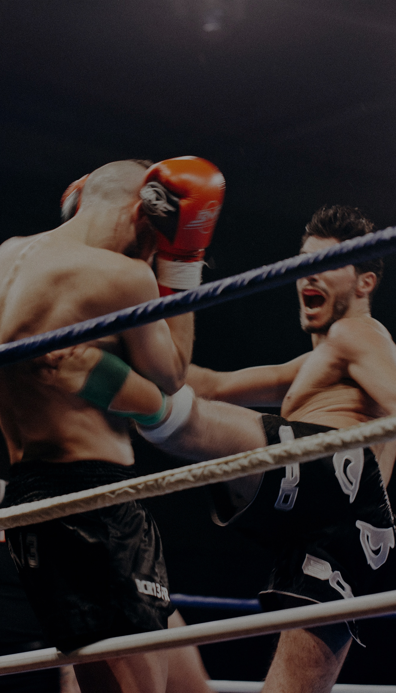 Boxkampf